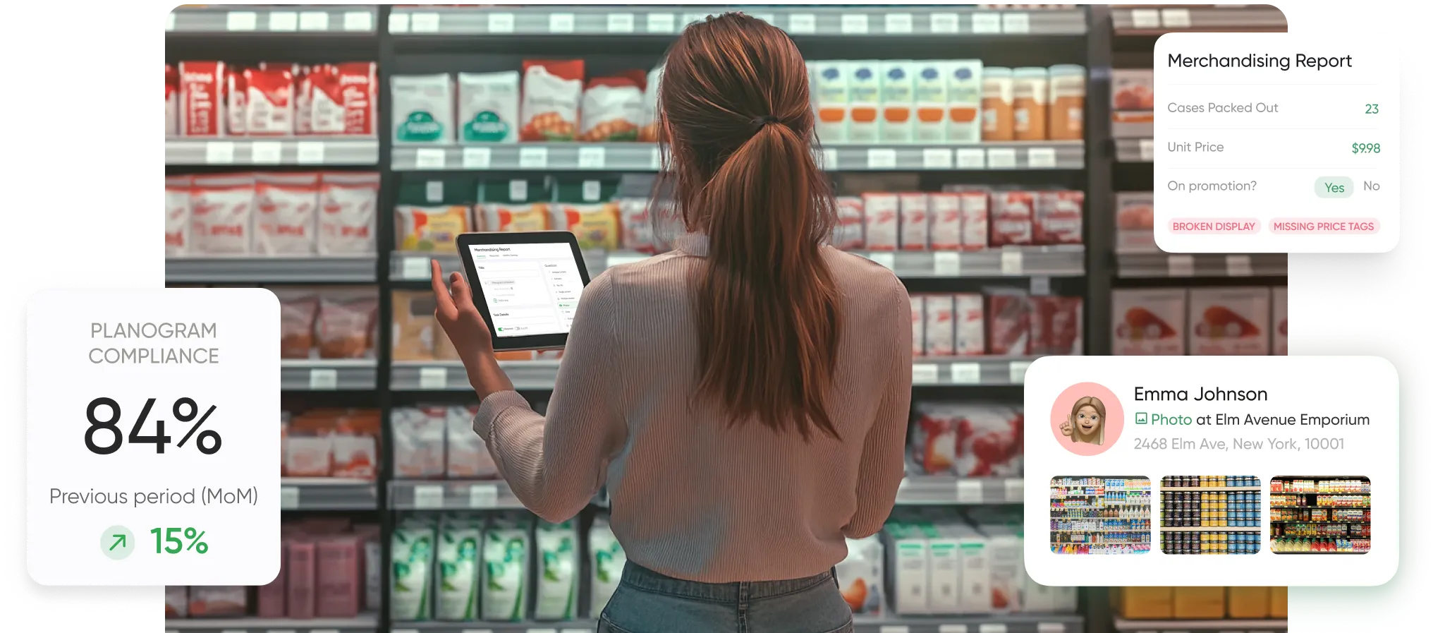 Merchandising Software 1