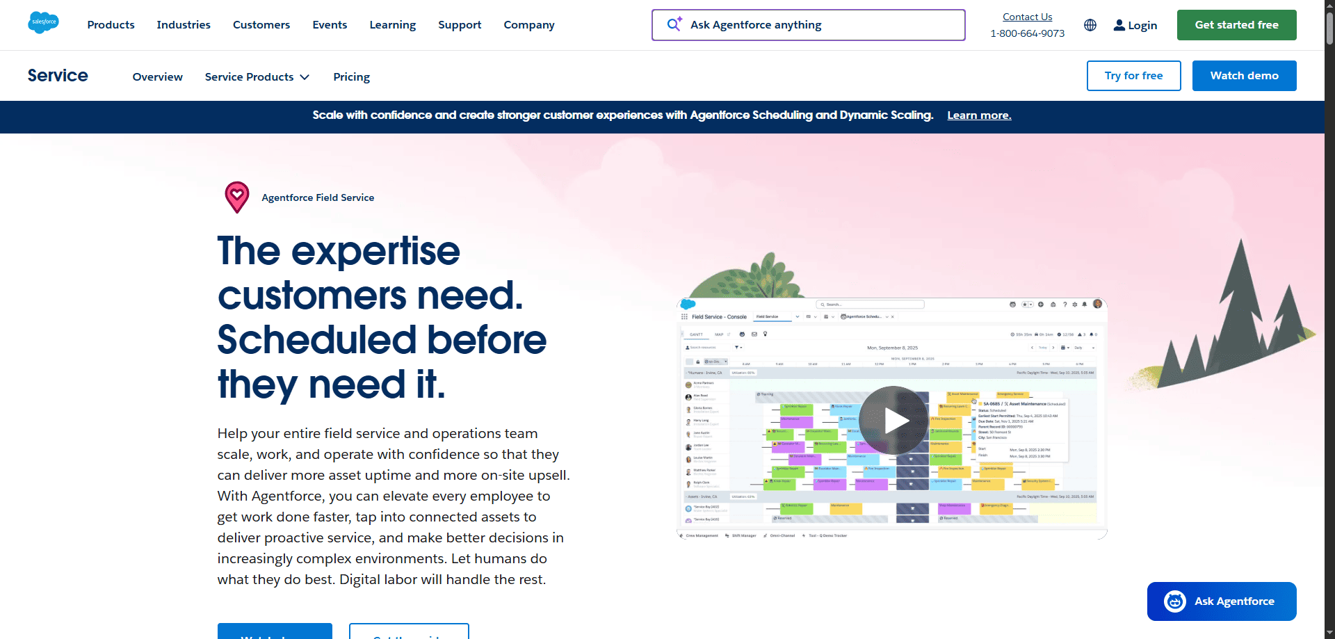 Salesforce Agentforce Field Service webpage with customer expertise headline, service info, contact links, and 2026 field rep software preview.