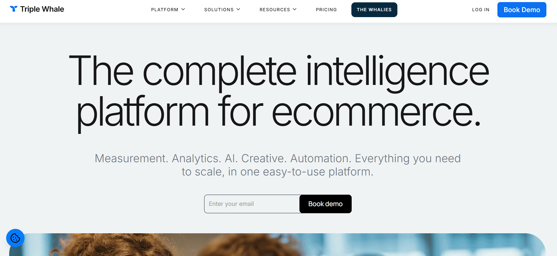 Triple Whale homepage screenshot featuring "The complete intelligence platform for ecommerce," analytics, AI, and Book demo option.